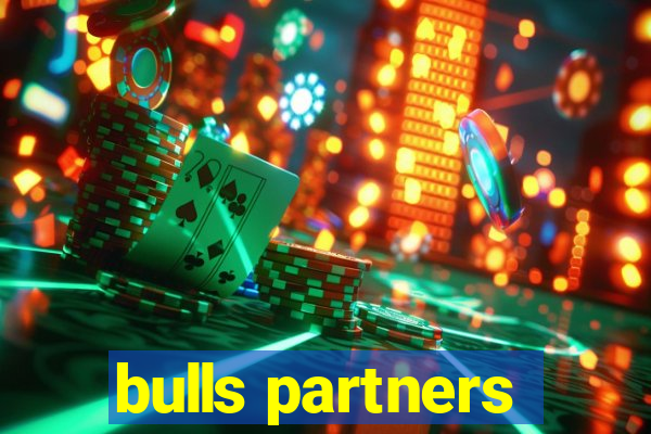 bulls partners